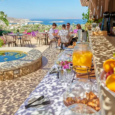 Apartamento Kipos & Mykonos Town